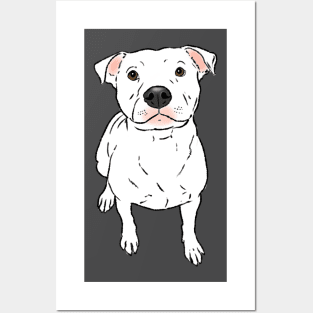 White Pitbull, Sitting Pittie Posters and Art